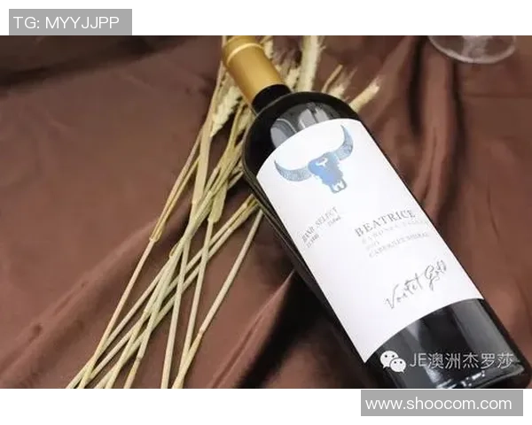 拉波尔特的传奇之旅：从足球新星到世界舞台的璀璨明星